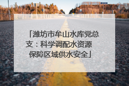 潍坊市牟山水库党总支：科学调配水资源 保障区域供水安全