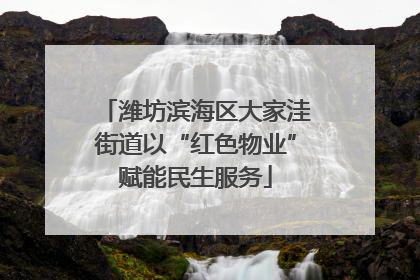 潍坊滨海区大家洼街道以“红色物业”赋能民生服务