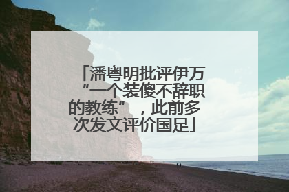 潘粤明批评伊万“一个装傻不辞职的教练”，此前多次发文评价国足