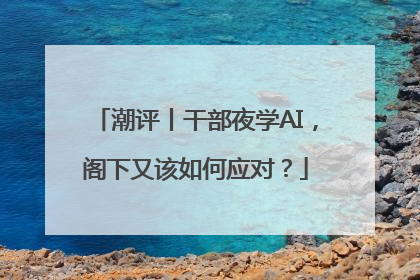 潮评丨干部夜学AI，阁下又该如何应对？