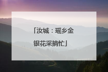 汝城：瑶乡金银花采摘忙