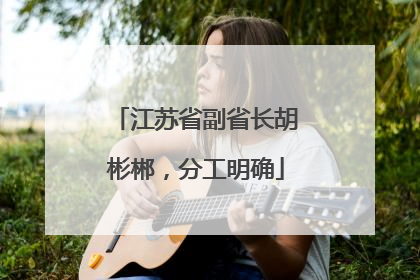 江苏省副省长胡彬郴，分工明确