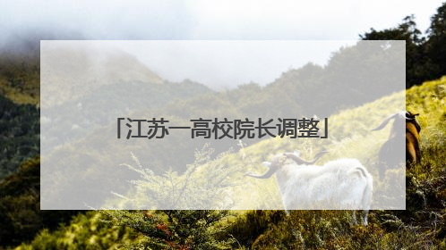江苏一高校院长调整
