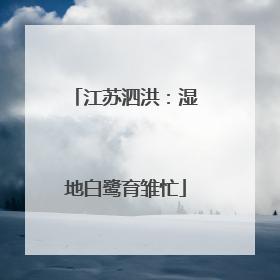 江苏泗洪：湿地白鹭育雏忙