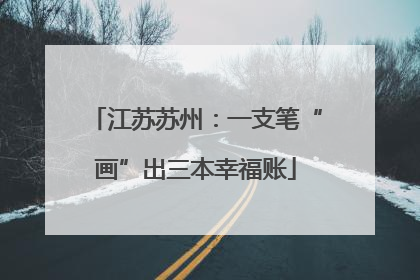 江苏苏州：一支笔“画”出三本幸福账