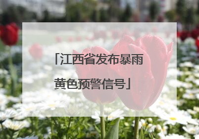 江西省发布暴雨黄色预警信号