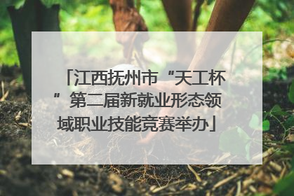 江西抚州市“天工杯”第二届新就业形态领域职业技能竞赛举办