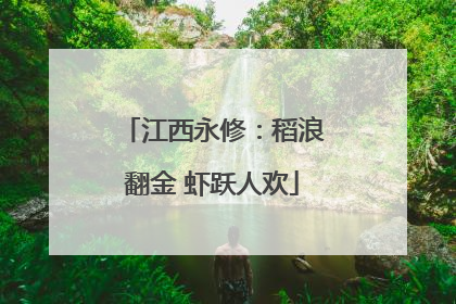 江西永修：稻浪翻金 虾跃人欢