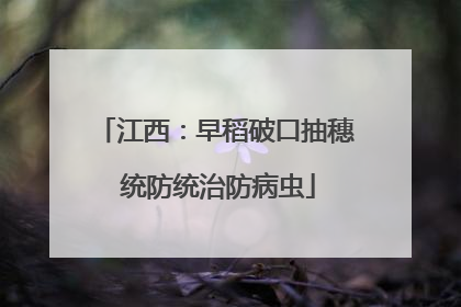 江西：早稻破口抽穗 统防统治防病虫