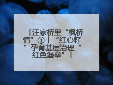 汪家桥里“枫桥情”①丨“红心籽”孕育基层治理“红色堡垒”