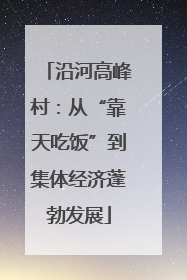 沿河高峰村：从“靠天吃饭”到集体经济蓬勃发展
