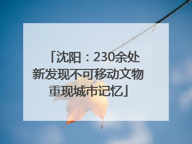 沈阳：230余处新发现不可移动文物重现城市记忆