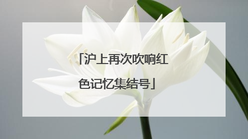 沪上再次吹响红色记忆集结号