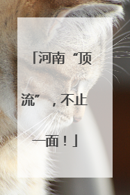 河南“顶流”，不止一面！
