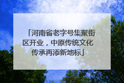 河南省老字号集聚街区开业，中原传统文化传承再添新地标