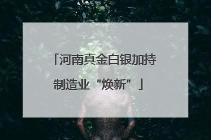河南真金白银加持制造业“焕新”