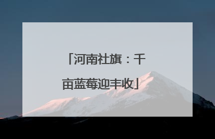 河南社旗：千亩蓝莓迎丰收