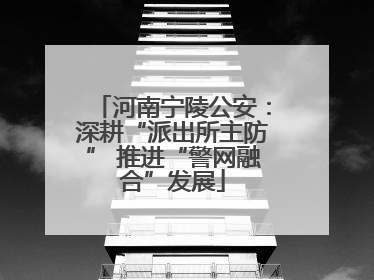 河南宁陵公安：深耕“派出所主防” 推进“警网融合”发展