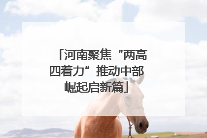 河南聚焦“两高四着力”推动中部崛起启新篇