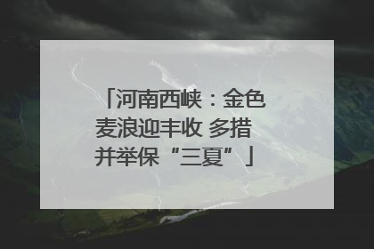 河南西峡：金色麦浪迎丰收 多措并举保“三夏”