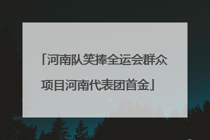 河南队笑捧全运会群众项目河南代表团首金