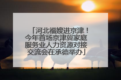 河北福嫂进京津！今年首场京津冀家庭服务业人力资源对接交流会在承德举办