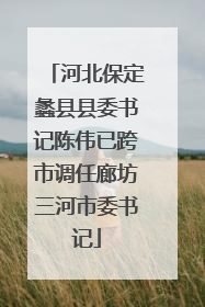 河北保定蠡县县委书记陈伟已跨市调任廊坊三河市委书记