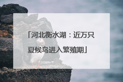 河北衡水湖：近万只夏候鸟进入繁殖期