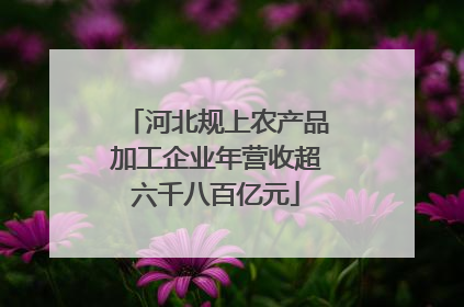 河北规上农产品加工企业年营收超六千八百亿元