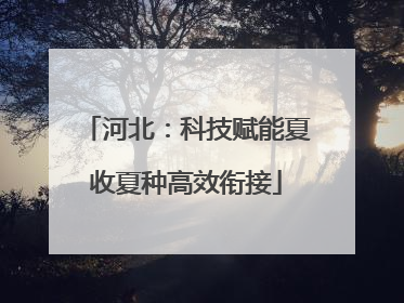 河北：科技赋能夏收夏种高效衔接