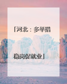 河北：多举措稳岗促就业