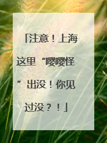 注意！上海这里“嘤嘤怪”出没！你见过没？！