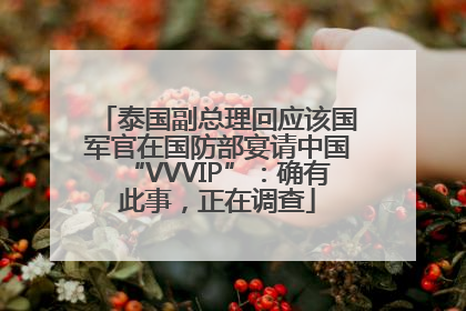 泰国副总理回应该国军官在国防部宴请中国“VVVIP”：确有此事，正在调查