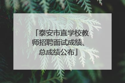 泰安市直学校教师招聘面试成绩、总成绩公布