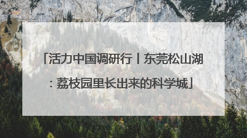 活力中国调研行丨东莞松山湖：荔枝园里长出来的科学城
