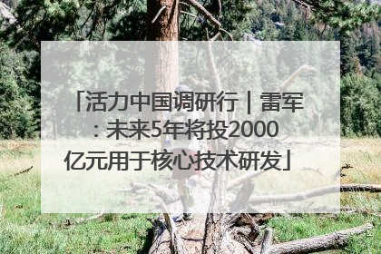 活力中国调研行｜雷军：未来5年将投2000亿元用于核心技术研发