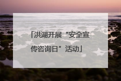 洪湖开展“安全宣传咨询日”活动