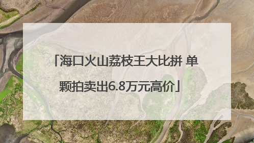 海口火山荔枝王大比拼 单颗拍卖出6.8万元高价