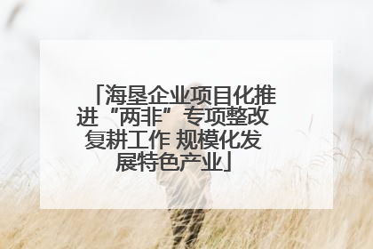 海垦企业项目化推进“两非”专项整改复耕工作 规模化发展特色产业