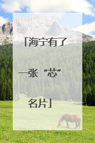海宁有了一张“芯”名片