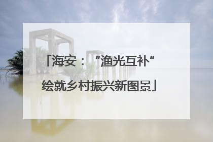 海安：“渔光互补” 绘就乡村振兴新图景