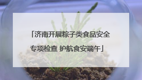 济南开展粽子类食品安全专项检查 护航食安端午