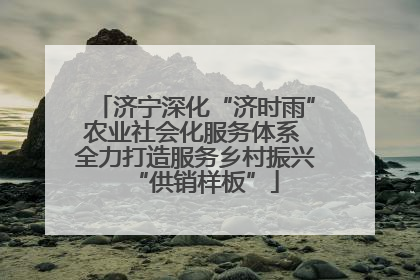 济宁深化“济时雨”农业社会化服务体系 全力打造服务乡村振兴“供销样板”