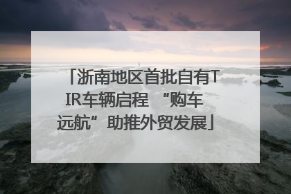浙南地区首批自有TIR车辆启程 “购车远航”助推外贸发展