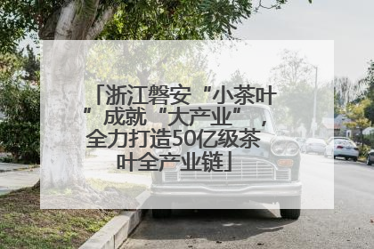 浙江磐安“小茶叶”成就“大产业”，全力打造50亿级茶叶全产业链