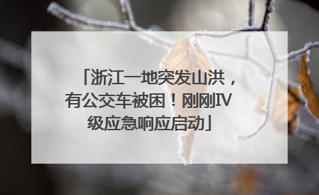 浙江一地突发山洪，有公交车被困！刚刚Ⅳ级应急响应启动