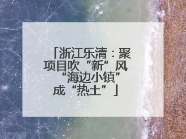 浙江乐清：聚项目吹“新”风 “海边小镇”成“热土”