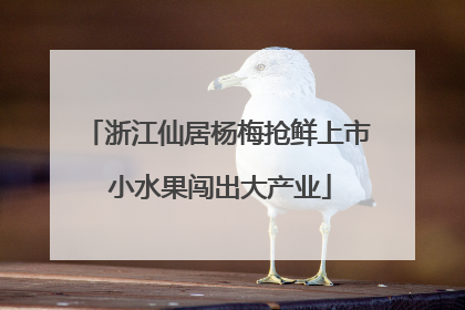 浙江仙居杨梅抢鲜上市 小水果闯出大产业