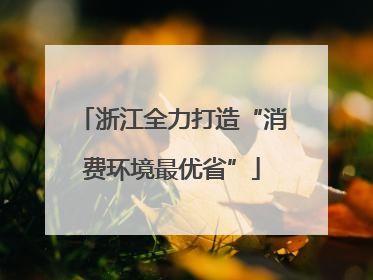 浙江全力打造“消费环境最优省”