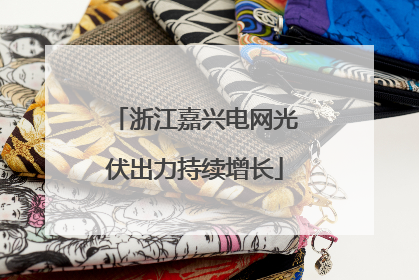 浙江嘉兴电网光伏出力持续增长